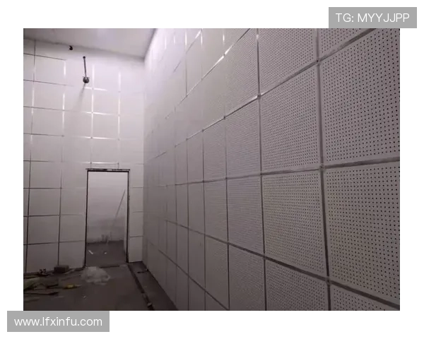 全球顶级足球场球员通道的吸音降噪设计谈